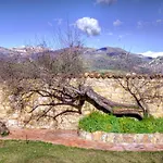 Le Querce Di Cota *