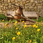Le Querce Di Cota *