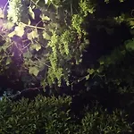 Le Querce Di Cota Agroturismo Troina