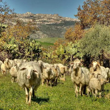 Le Querce Di Cota * Troina
