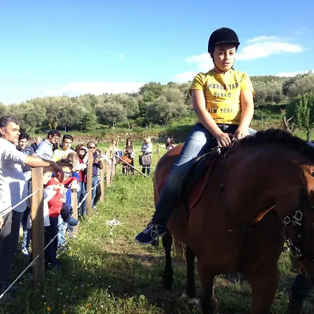 Le Querce Di Cota ファームステイ