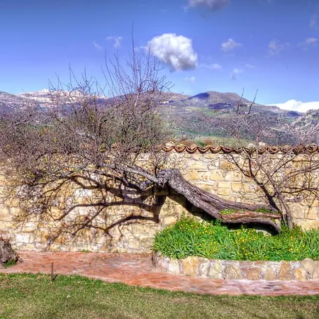 Le Querce Di Cota *
