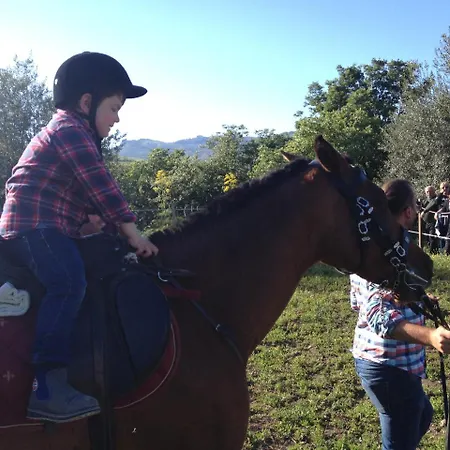 Le Querce Di Cota ファームステイ Troina