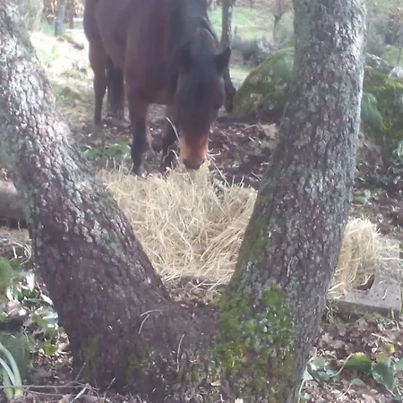 ファームステイ Le Querce Di Cota *