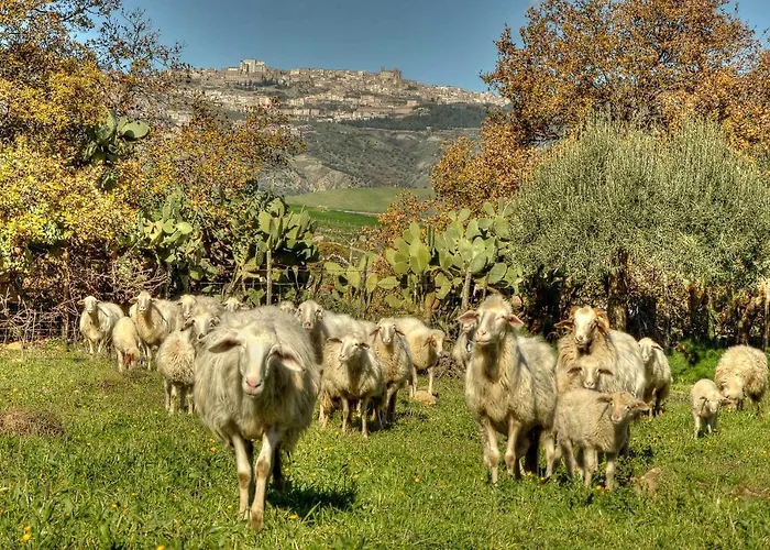 Le Querce Di Cota * Troina