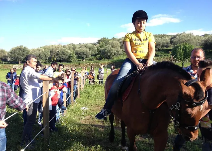 Le Querce Di Cota Feriegård