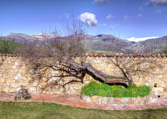 Le Querce Di Cota *