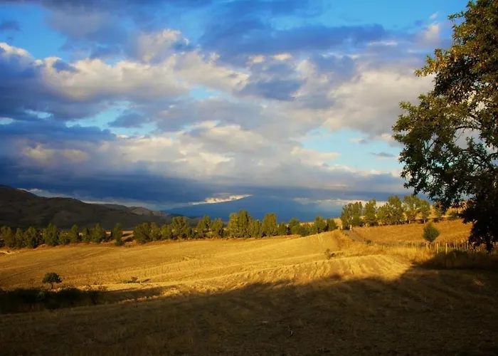Le Querce Di Cota * Troina