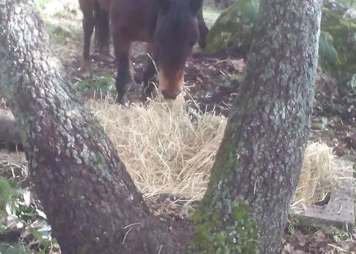 Farmház Le Querce Di Cota *