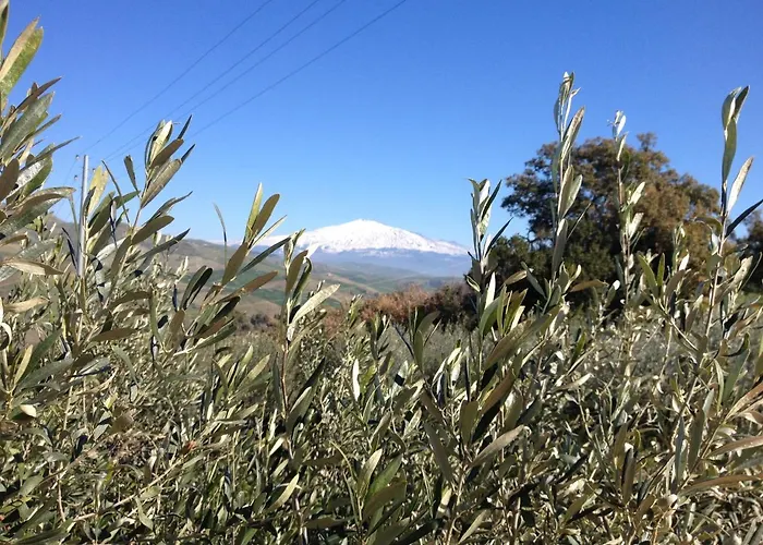 Le Querce Di Cota Farmház *