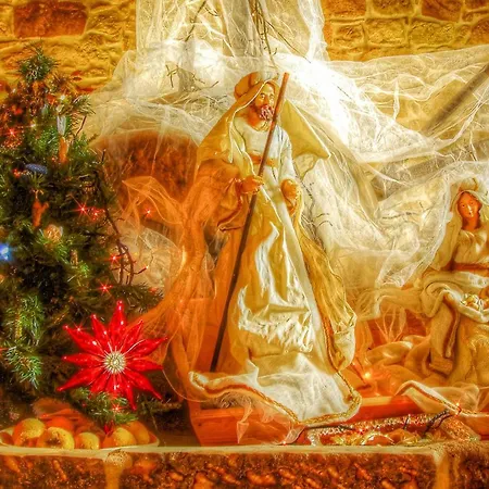 Gospodarstwo agroturystyczne Le Querce Di Cota *