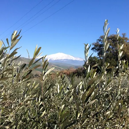Le Querce Di Cota Farm stay *